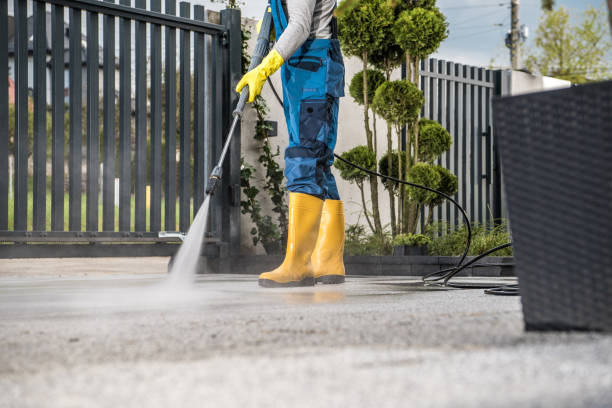 Best Fence Cleaning  in Zephyrhills South, FL